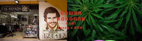 амф Новодвинск