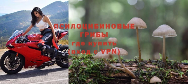 винт Галич