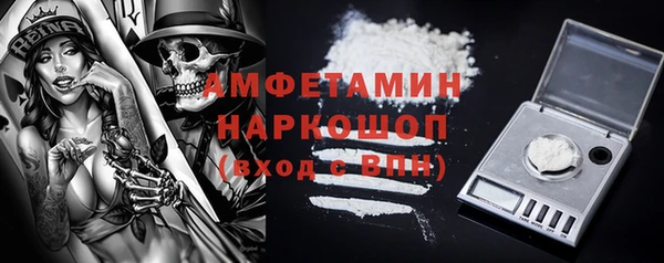 дмт Бородино