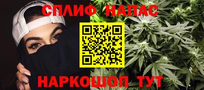 бошки Будённовск