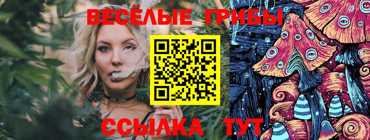 Псилоцибиновые грибы прущие грибы Ивантеевка