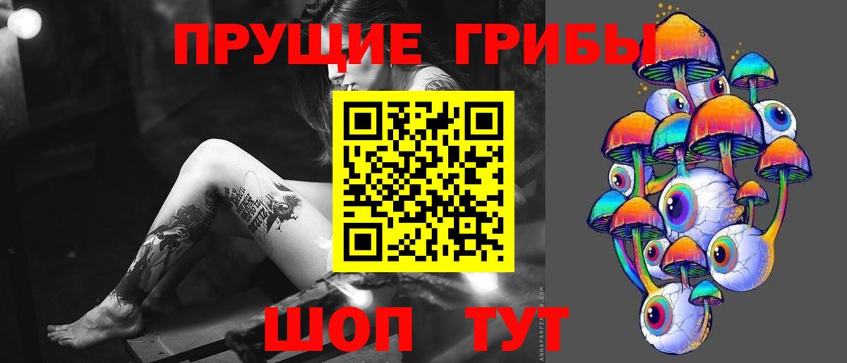 Галлюциногенные грибы мицелий  Ивантеевка 