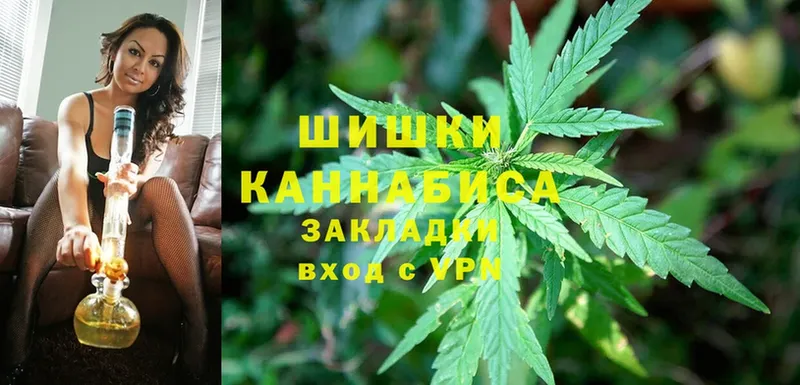 Бошки Шишки OG Kush  Ивантеевка 